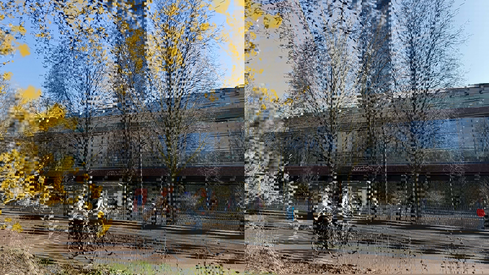 Frederiksplein